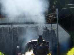 IMG_1903